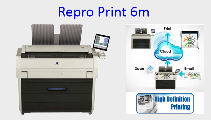 Repro Print 6m
